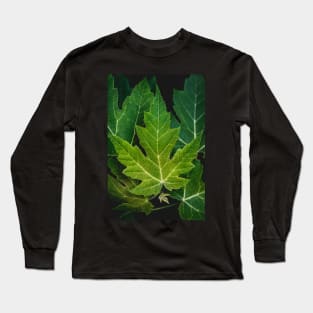 Farewell Green Leaves. Nature Photography Long Sleeve T-Shirt